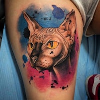 a sphynx cat tattoo on a woman's thigh